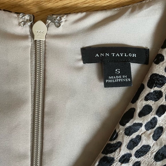 Ann Taylor Shift Dress - Picture 6 of 7